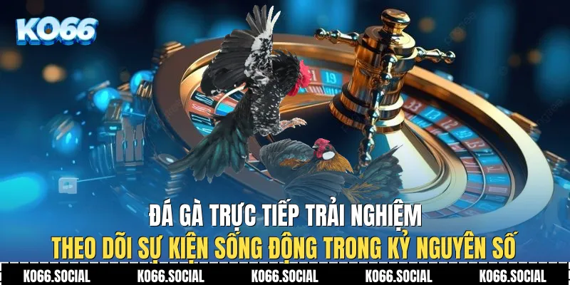 Đá Gà Trực Tiếp